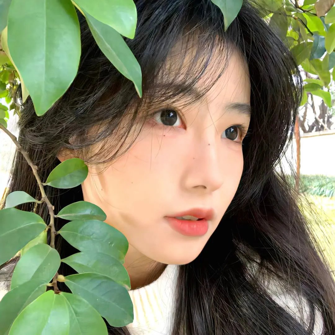 剧集连载